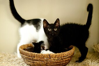 Aleš a Markétka- úžasné povahy,priateľské,otvorené,dôverčivé - 3