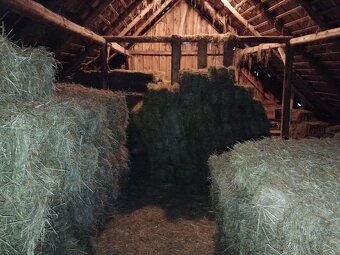 Seno otava Hranaté balíky sena - 3