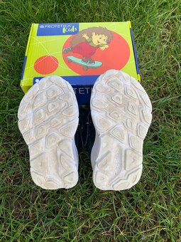 Champion botasky 24 - 3