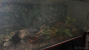 Predám terárium - 3