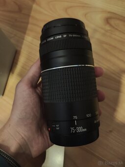 Canon 75-300 f/4.0-5.6 - 3