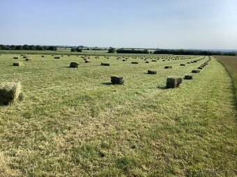 predám seno malé hranaté balíky - 3