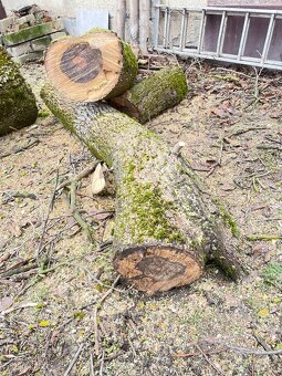 Predám orechové drevo - 3