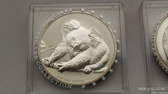 Koala 2010 a 2013 - 3