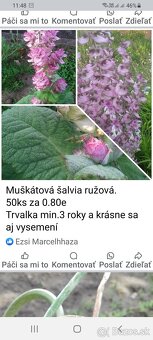 Mak a muškátová šalvia semená - 3