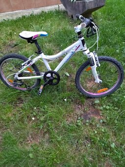 Predám detský horský bicykel Haibike Little Life 20 - 3