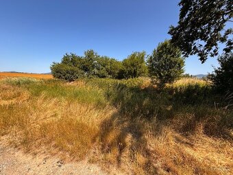 Pozemok pri Vrábľoch (k.ú: Vieska nad Žitavou ) na predaj - 3