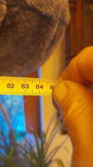 Veĺké škrabadlo pre mačku 50eur, menšie 20eur - 3