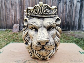 Socha Lev - 3