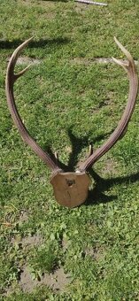 Parožie, parohy, zhody - 3