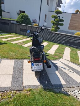 Harley Davidson Street 750 - 3