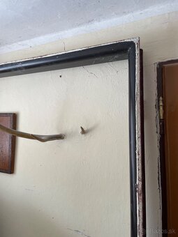 Staršie dvokridlove dvere - 3