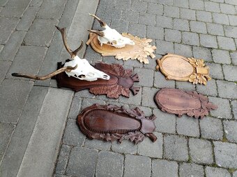 Podložky pod trofeje danielov - 3