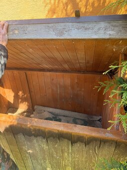 Psia buda zateplena - 3