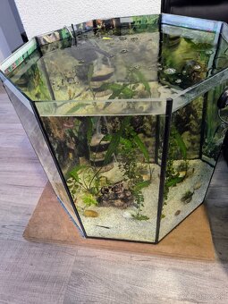 Predám 8 uhoľníkové zabehnuté akvárium 120 litrov - 3