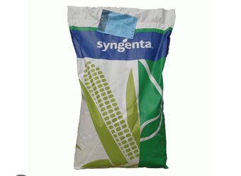 osivo kukurica slnecnica pioneer sygenta dekalb lg - 3