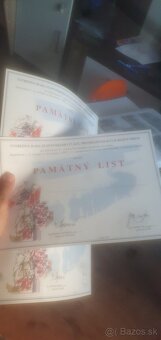 Pametni list SNP.Partizan.Odboj.SNP. - 3