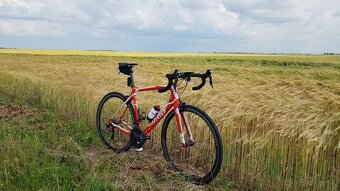 Predám wilier GTR TEAM - 3