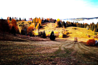 Pozemok v lone prírody – 1,2 ha, Lom nad Rimavicou - 3