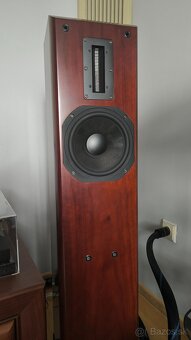 Aurum Cantus M-103 (Rosewood) - 3