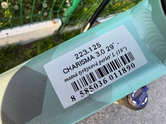 CTM CHARIZMA 3.0 29” L - 3