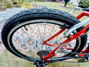 Bicykel- DEMA - 3