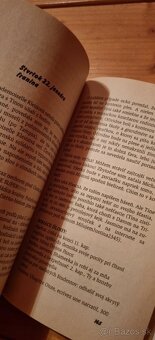 Princezná na kniežacom dvore - 3