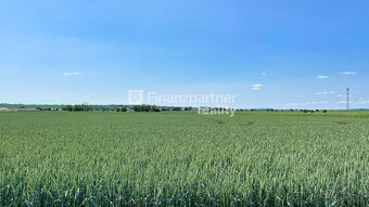 Investičný pozemok 13169 m2, Nemčice, Topoľčany - 3