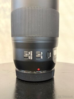 Canon 70-300mm - 3