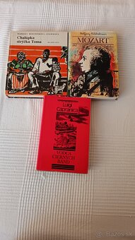 V.P.BOROVIČKA a inē - 3