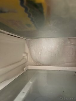 Chladnicka s mraznickou Siemens - 3