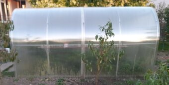 Polykarbonatovy sklenik - 3