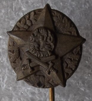 armáda - odznaky - 3