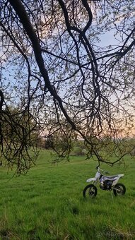 Pitbike 125 - 3