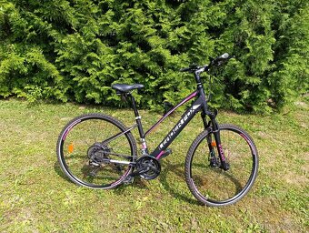 bicykel - 3