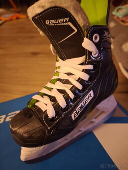 Korcule Bauer XLS 33.5 - 3