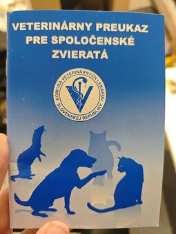 Darujem cane corso - 3