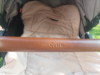 Kočík oyster - 3