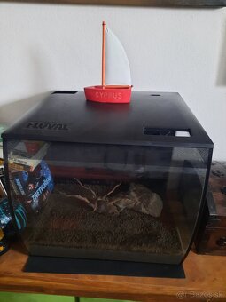akvarium 50L - 3