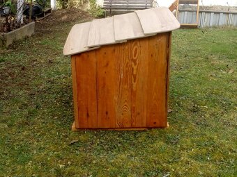 predam psiu budu - 3