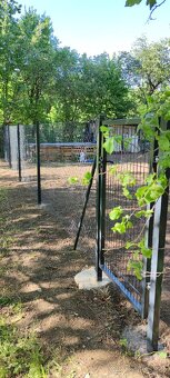 Všetky druhy oplotení. gabionové, betónové, okrasné. - 3
