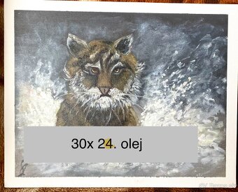 Tiger sa kúpe - 3