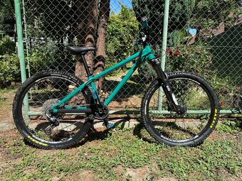 Kellys Whip 50 custom - 3
