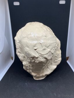 J.Šicková - Busta hlavy - 3