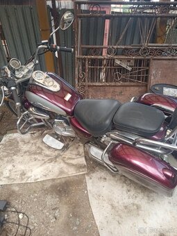 Harley - 3