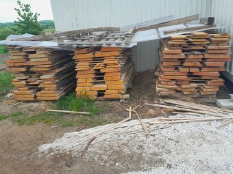 Foršne z duba  2 ročne - 3