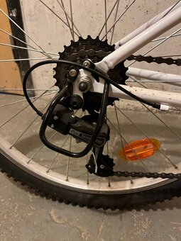 Rock Rider st 100 - 3