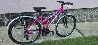 Predam MAYO Bicykel - 3