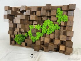 Machové obrazy - akustické difúzory - 3