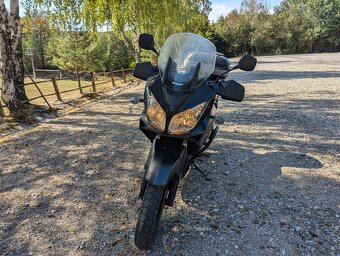 Suzuki DL 650 V-strom 2008 - 3